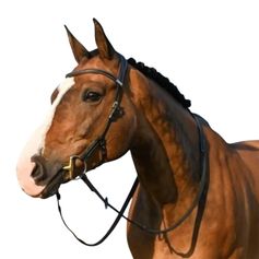 BRIDON ONE LIBERTY NOISETTE