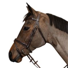 BRIDON COMBINE PAINTED BRUN