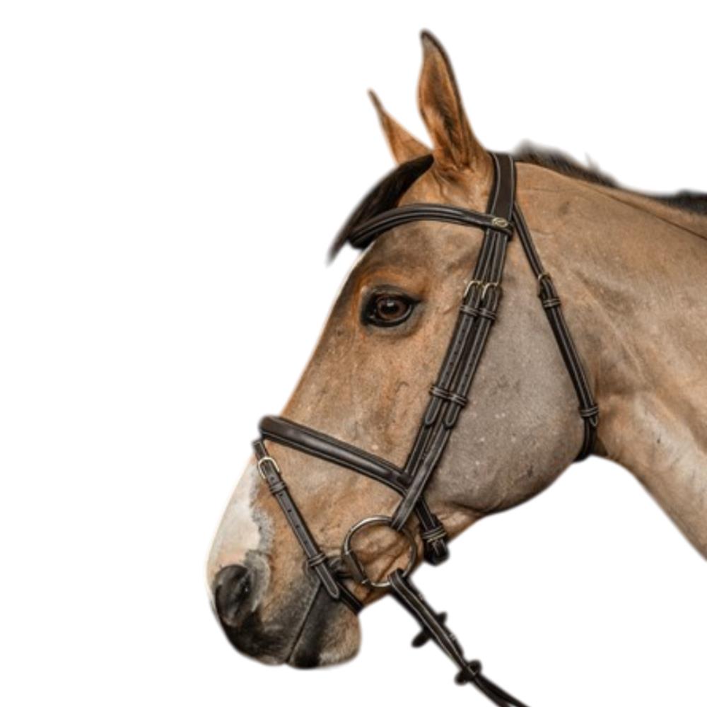 BRIDON COMBINE FLEX BRUN