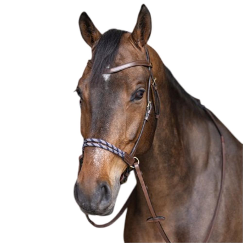 BRIDON SANS MORS FREEDOM HAVANE