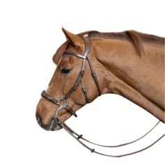 BRIDON HACKAMORE HAVANE