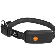 TRACEUR GPS XT POUR CHIEN