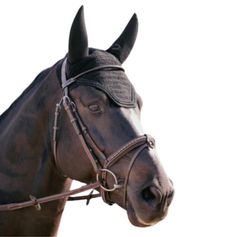 BONNET STRASS ANTI-BRUITS CHEVAL