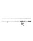 CANNE TANAGER3 SW + MOULINET