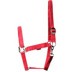 LICOL ECONOMY FUCHSIA