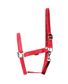 LICOL ECONOMY FUCHSIA