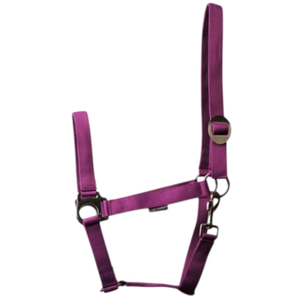 LICOL ECONOMY VIOLET