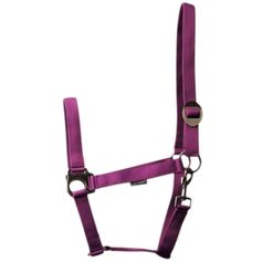 LICOL ECONOMY VIOLET