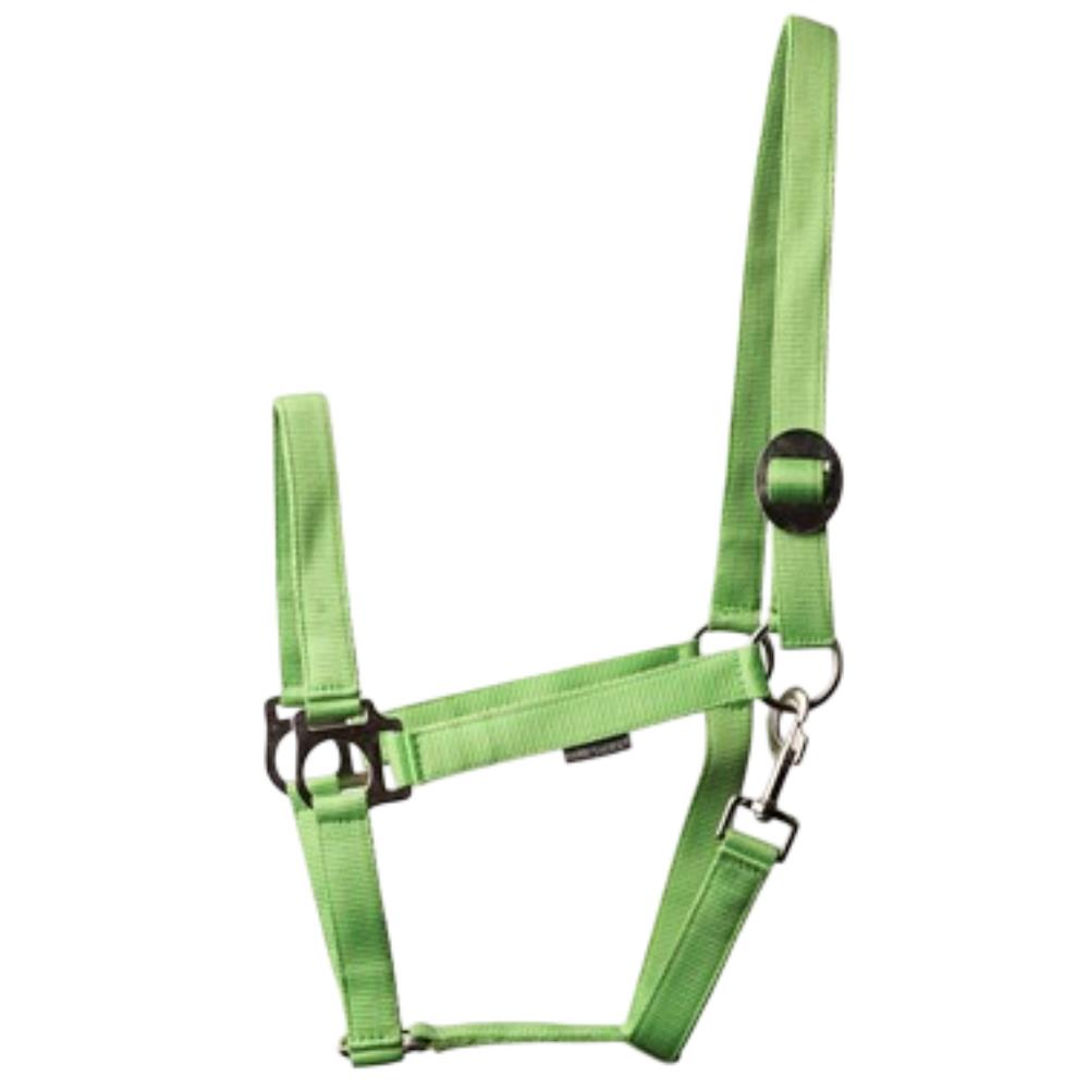 LICOL ECONOMY VERT CLAIR