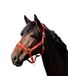 LICOL NYLON CUSHION PONEY