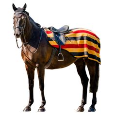 COUVRE REINS POLAIRE NEWMARKET