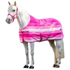 CHEMISE SECHANTE NEWMARKET ROSE