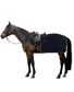COUVRE REINS CARRE POLAIRE MARINE