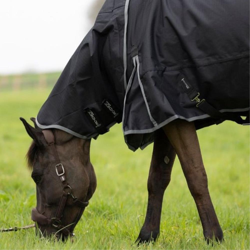 COUVERTURE IMPER DYNASTIE NOIRE