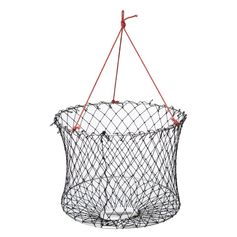 BALANCE A ECREVISSES