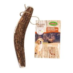 BOIS DE CERF COUPE EN DEUX