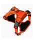 HARNAIS CONFORT POUR CHIEN ORANGE