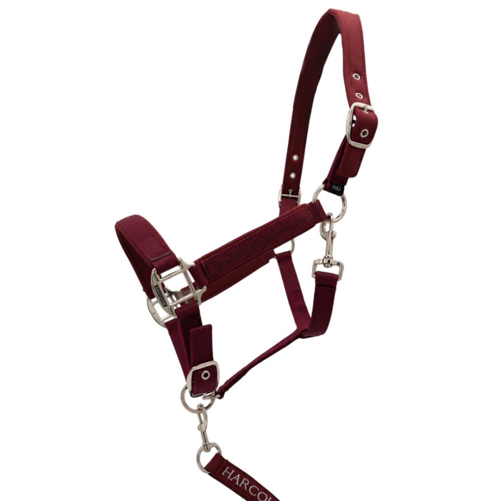 LICOL + LONGE CINSY BORDEAUX