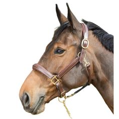 LICOL CUIR GROOMING MARRON