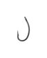 HAMECON CURVE