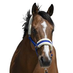 LICOL MOUTON SYNTHETIQUE BLEU