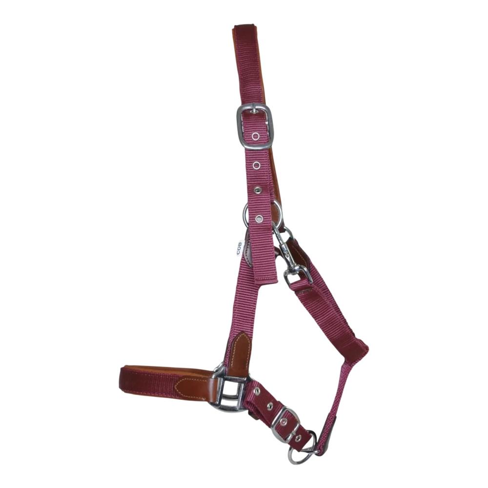 LICOL CUIR ET SANGLE BORDEAUX