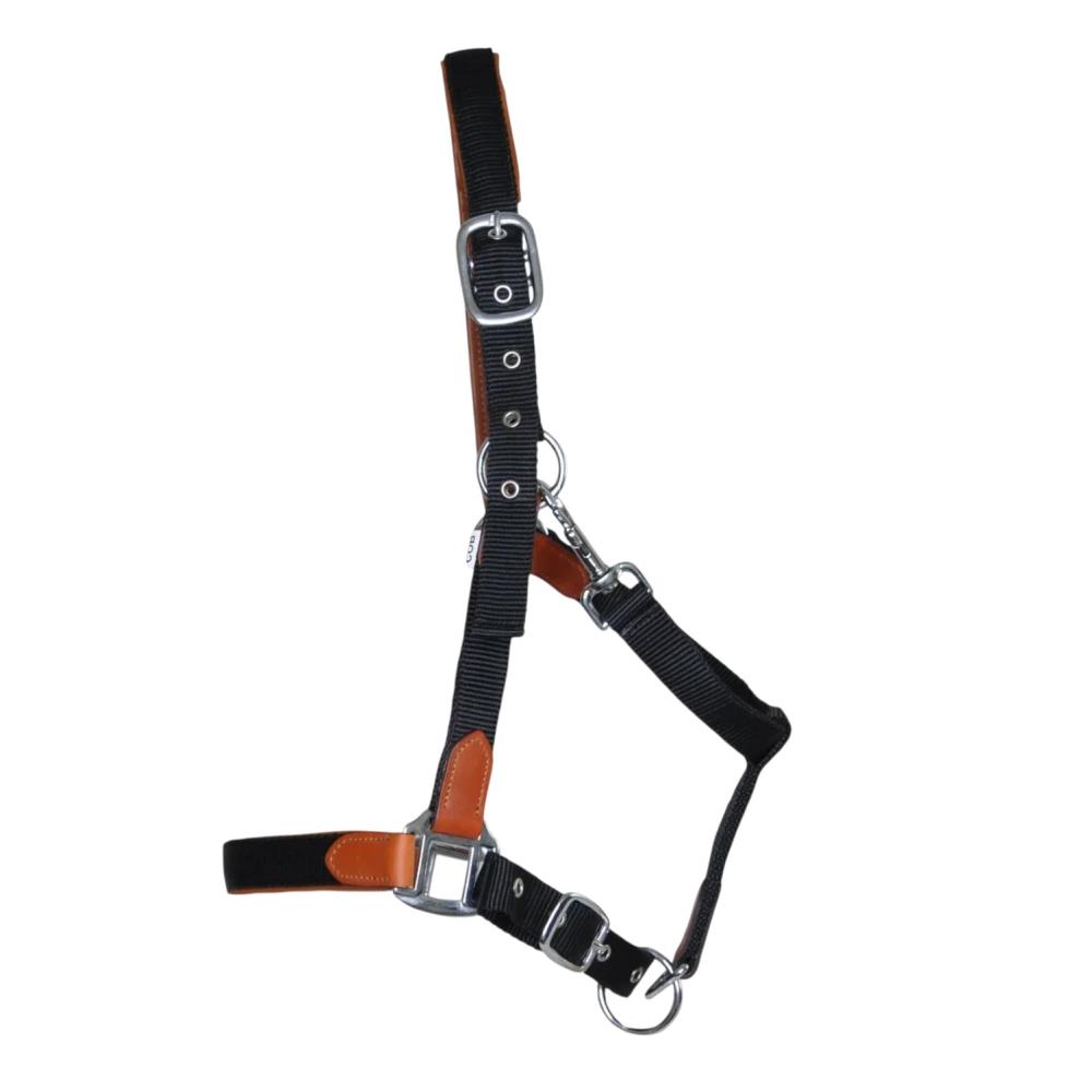 LICOL CUIR ET SANGLE NOIR