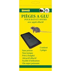BOITE DE 2 PIÈGES A RAT A GLU