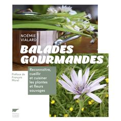 LIVRE BALADES GOURMANDES