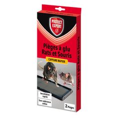 PIEGES GLU RAT & SOURIS X2