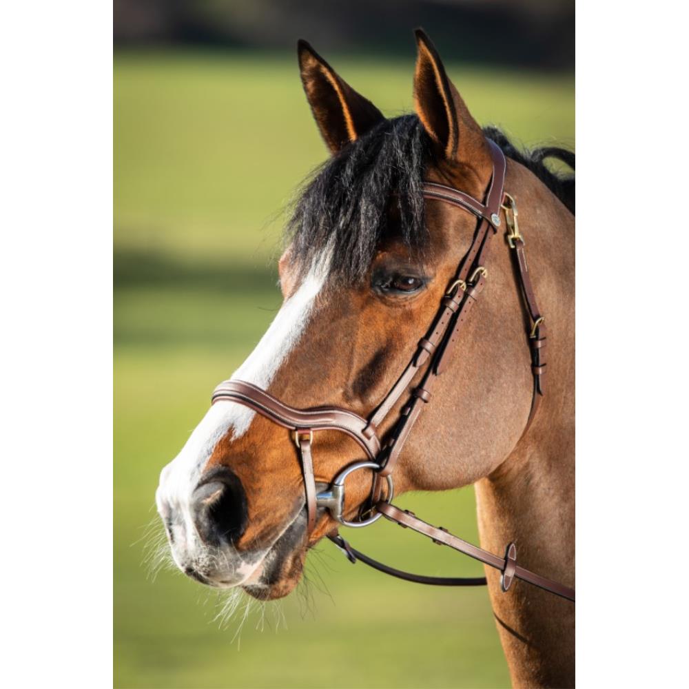 BRIDON CUIR ANATOMIQUE TECHNO HAVAN HFI Terres & Eaux