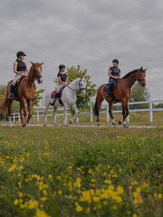 Tout pour une rentrée au galop ! 