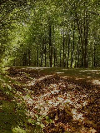 Profitez d'une journée en automne ! 
